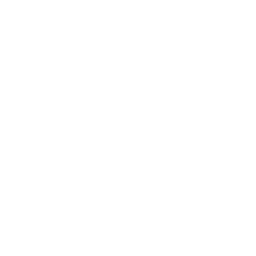 BI Project Management